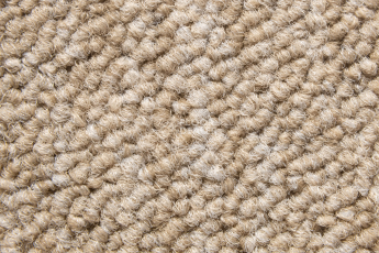 Desso Essence 2915 фото 2 | FLOORDEALER