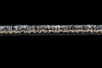 Escom CITY 342 фото 4 | FLOORDEALER