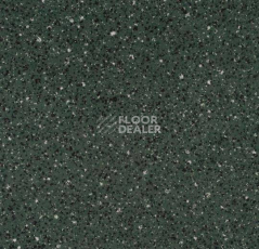 Линолеум Forbo Smaragd Classic Fr 6186 фото 1 | FLOORDEALER