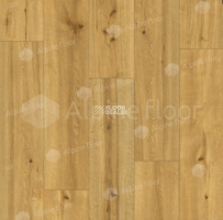 Alpine Floor by Classen Pro Nature 4мм Soledad 62538 фото 2 | FLOORDEALER