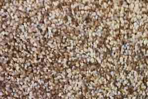 Ковролин Дюна Тафт Volterra 326 фото  | FLOORDEALER