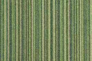 Ковролин Balsan Baya Baya 250 фото  | FLOORDEALER