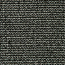 Carpet Concept Eco Iqu 54356 фото 1 | FLOORDEALER