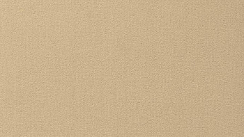 Ковролин Vorwerk Passion 1000/Modena Vorwerk 8a72 фото 1 | FLOORDEALER