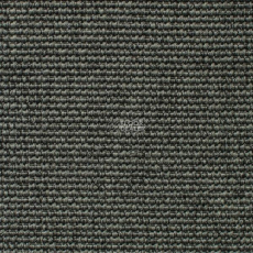 Carpet Concept Eco Iqu 54356 фото 1 | FLOORDEALER