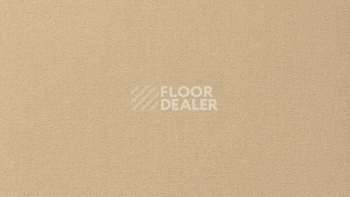 Ковролин Vorwerk Passion 1000/Modena Vorwerk 8a72 фото 1 | FLOORDEALER