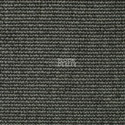 Ковролин Carpet Concept Eco Iqu 54356 фото 1 | FLOORDEALER