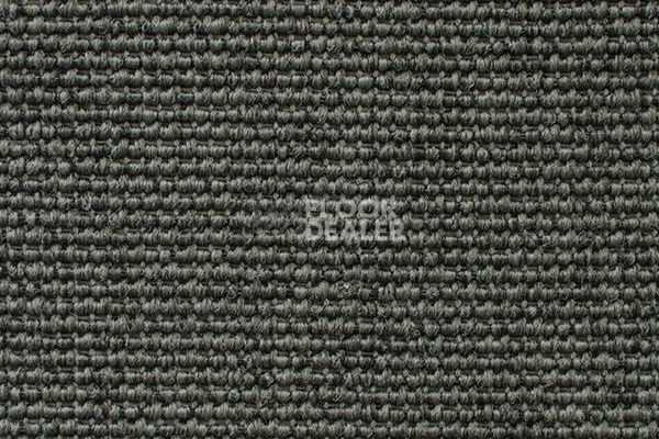 Ковролин Carpet Concept Eco Iqu 54356 фото 1 | FLOORDEALER