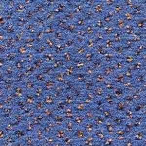 Ковролин CONDOR Carpets Argus 421 фото ##numphoto## | FLOORDEALER
