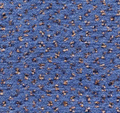 Ковролин Condor Carpets Argus 421 фото 1 | FLOORDEALER