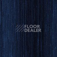 Ковровая плитка City Walk City Walk  955 фото 1 | FLOORDEALER