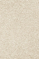 Ковролин AW Invictus Romelus 30 фото 1 | FLOORDEALER