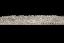 Balsan Sweet Dreams 605 фото 3 | FLOORDEALER