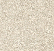 Ковролин AW Invictus Romelus 30 фото 1 | FLOORDEALER