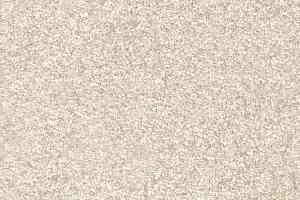 Ковролин AW Invictus Romelus 30 фото  | FLOORDEALER