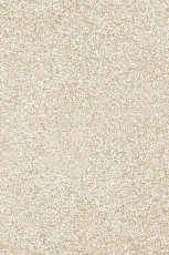 Ковролин AW Invictus Romelus 30 фото 1 | FLOORDEALER