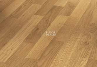 Ламинат Parador Basic Plus 400 1593812 Дуб Натуральный фото 1 | FLOORDEALER