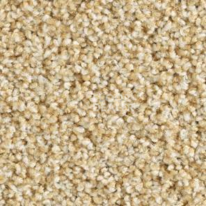 Ковролин Balsan Les Must Les Must 310 фото 1 | FLOORDEALER