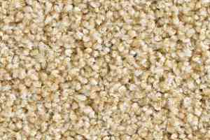 Ковролин Balsan Les Must Les Must 310 фото  | FLOORDEALER