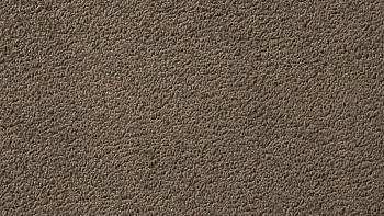 Ковролин Vorwerk Passion 1003 Vorwerk 7f83 фото 1 | FLOORDEALER