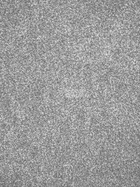 Ковролин AW Tribeca 90 фото 1 | FLOORDEALER