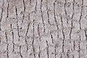 Ковролин Balta ITC Elton 039 фото  | FLOORDEALER