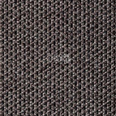 Ковролин Carpet Concept Eco Tec 280008 - 52744 фото 1 | FLOORDEALER