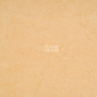 Линолеум Gerflor Marmorette Acoustic DLW 121-098 фото 1 | FLOORDEALER