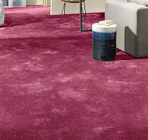 Vorwerk Superior 1064/Lyrica