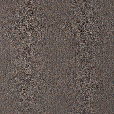 Ковролин Lano Scala Twist Scu.840 фото 1 | FLOORDEALER