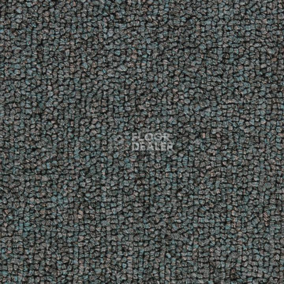 Ковролин Salisbury Beaulieu of America 102 фото 1 | FLOORDEALER