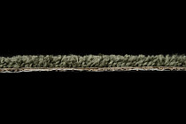 AW Daydream AW Daydream  24 фото 4 | FLOORDEALER