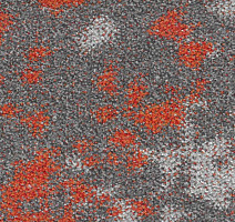 Ковровая плитка Small 212 Tangerine d фото 1 | FLOORDEALER