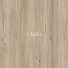 Пробковое покрытие Wood Resist Eco FDYI001   Diamond Oak фото 1 | FLOORDEALER