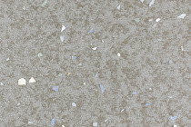 Линолеум Forbo Emerald Spectra 5596 фото 1 | FLOORDEALER