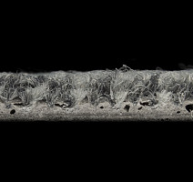 Galaxy F 017 фото 5 | FLOORDEALER