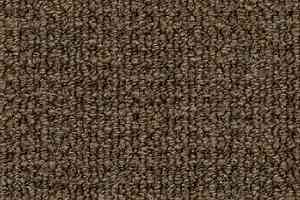 Ковролин Desso Conga 9103 фото  | FLOORDEALER