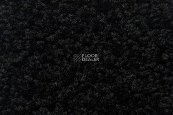 Balsan Serenite 990 фото 2 | FLOORDEALER