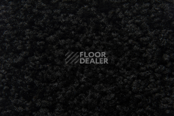 Balsan Serenite 990 фото 2 | FLOORDEALER
