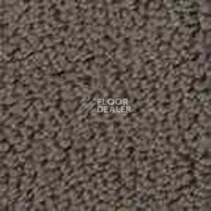 Ковролин Infloor Color 53 740 фото 1 | FLOORDEALER