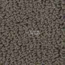 Ковролин Infloor Color 53 740 фото 1 | FLOORDEALER
