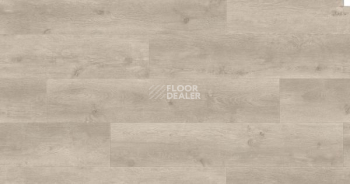 Haro Tritty 200 Aqua 4V ДУБ БЕРГАМО СЕРЕБРЯНО-СЕРЫЙ 541553 фото 1 | FLOORDEALER