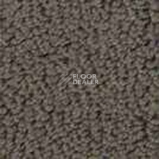 Ковролин Infloor Color 53 740 фото 1 | FLOORDEALER