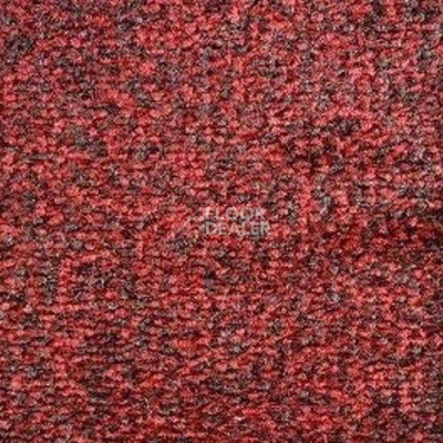 Ковролин SAG Palmira 59 фото 1 | FLOORDEALER