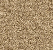 Ковролин Balsan First Class 640 фото 1 | FLOORDEALER