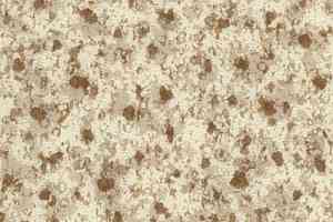 Линолеум Novoflor Extra Super 2120-36 фото  | FLOORDEALER