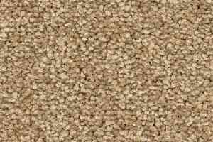 Ковролин Balsan First Class 640 фото  | FLOORDEALER