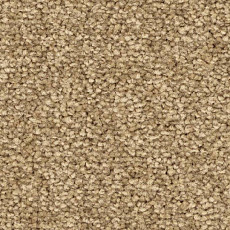 Ковролин Balsan First Class 640 фото 1 | FLOORDEALER