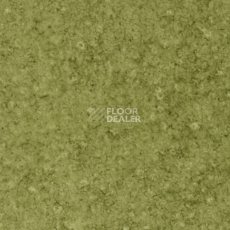 Линолеум Grabo Acoustic 43 Color 383-661-275 фото 1 | FLOORDEALER