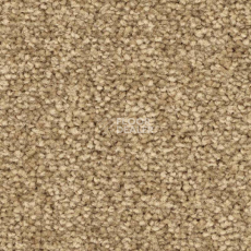 Ковролин Balsan First Class 640 фото 1 | FLOORDEALER